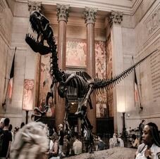 American Museum of Natural History